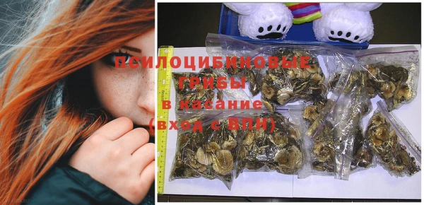 твердый Новосибирск