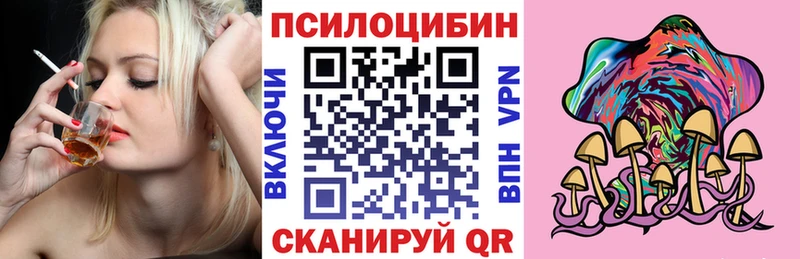 Купить  Поворино  Псилоцибиновые грибы мицелий 